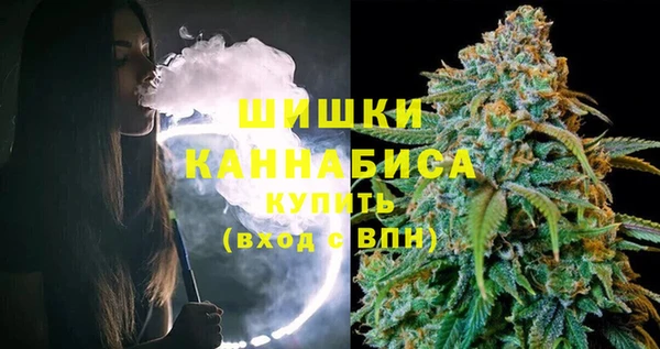 ГАЛЛЮЦИНОГЕННЫЕ ГРИБЫ Ельня