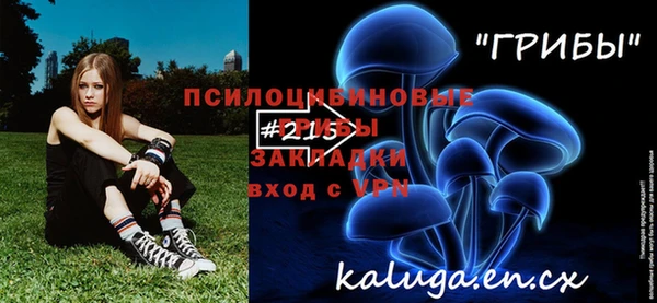 спайс Алексин