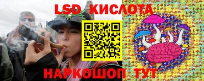 гашик Кунгур