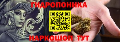 гашик Кунгур