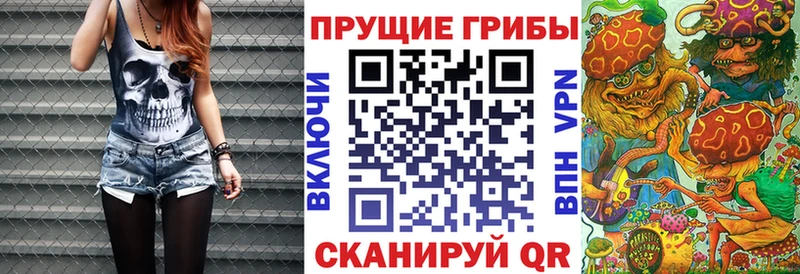Псилоцибиновые грибы Psilocybe  наркошоп  Гуково 