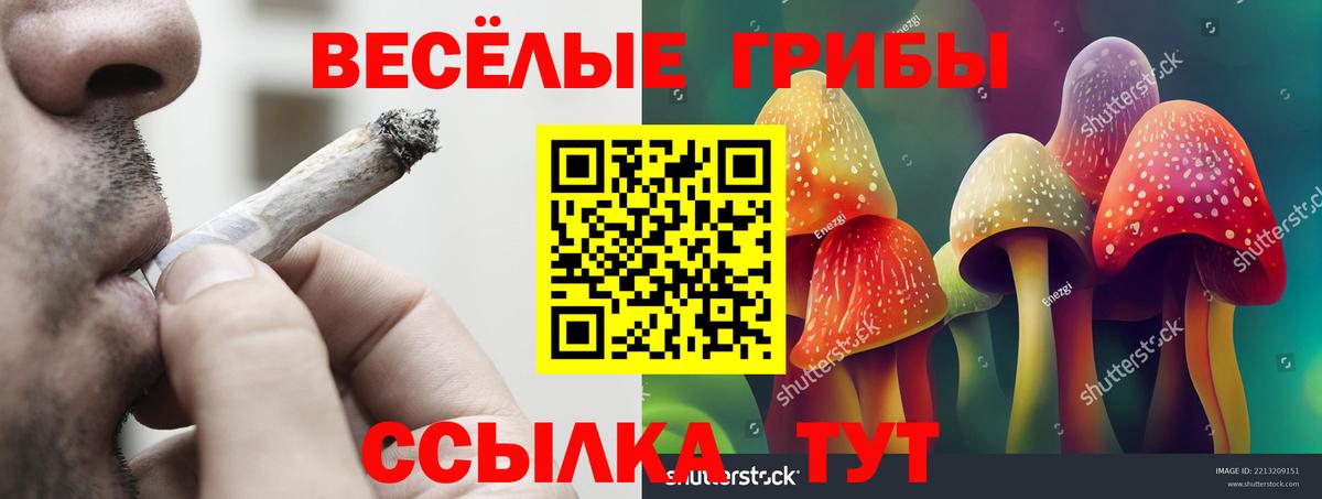 Галлюциногенные грибы Psilocybe Гуково