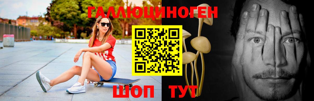 Псилоцибиновые грибы Psilocybe  Псилоцибиновые грибы мицелий  Вход с VPN  как найти закладки  Гуково 